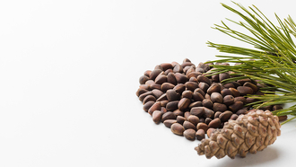 Pine Nuts